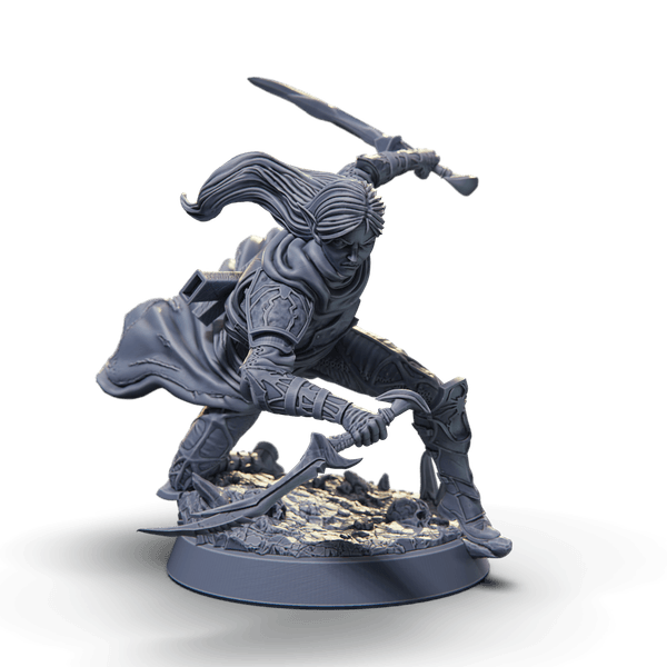 Drow Assassin