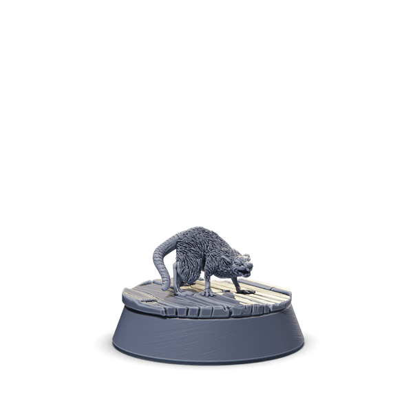 Rat Companion