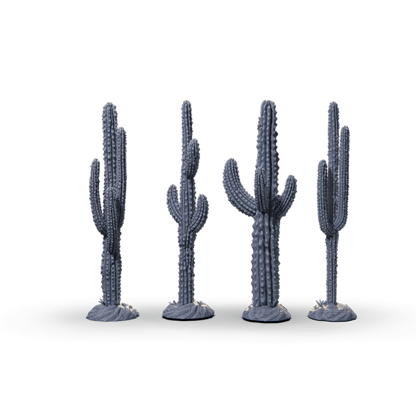 Cactus