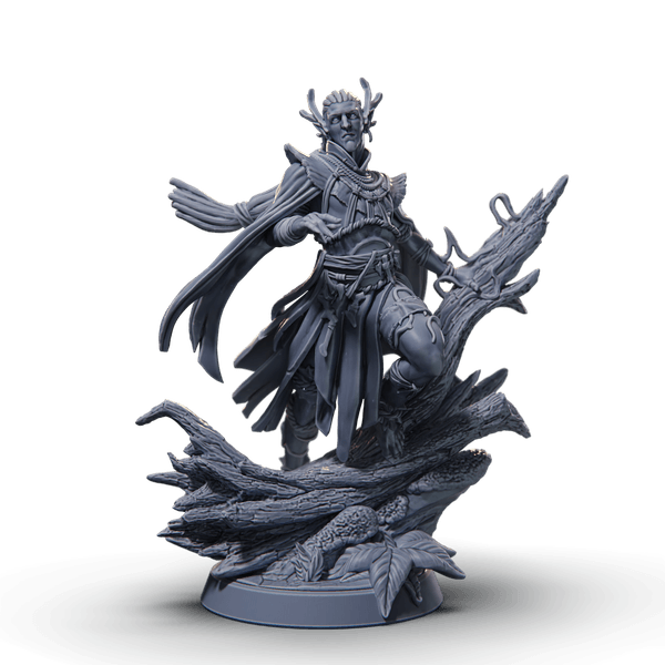 Elven Shaman
