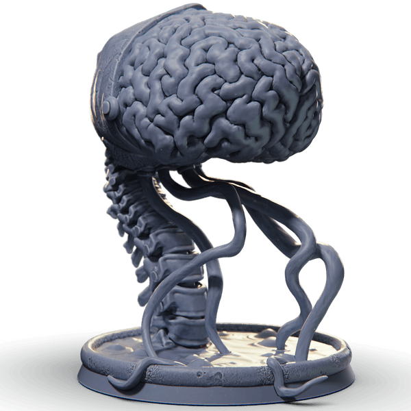 Elder Brain