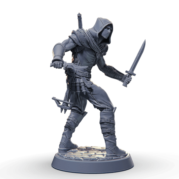 Disguised Assasin