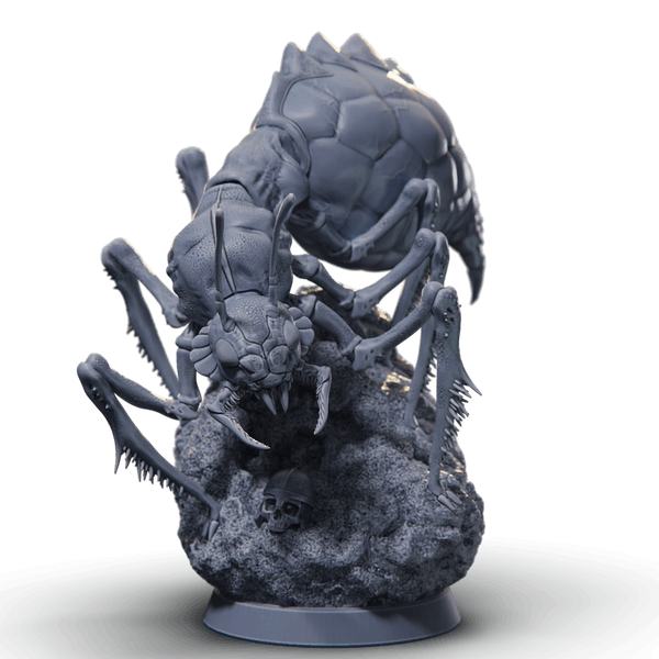 Giant Acid Cave Ant