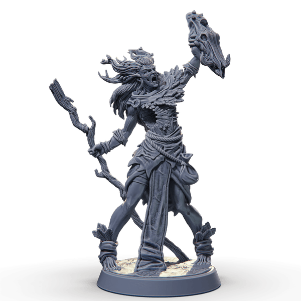 Cursed Dark Druid