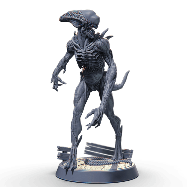 Malformed Voraxthid